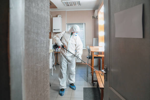 Best Emergency Mold Remediation  in Keene, NH